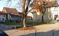 Lindenh�he in Schwallungen